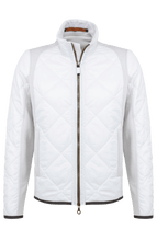 Load image into Gallery viewer, Joelmulti QL - Glacier