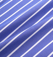 Load image into Gallery viewer, Crown Oversized Shirt - Blue/White