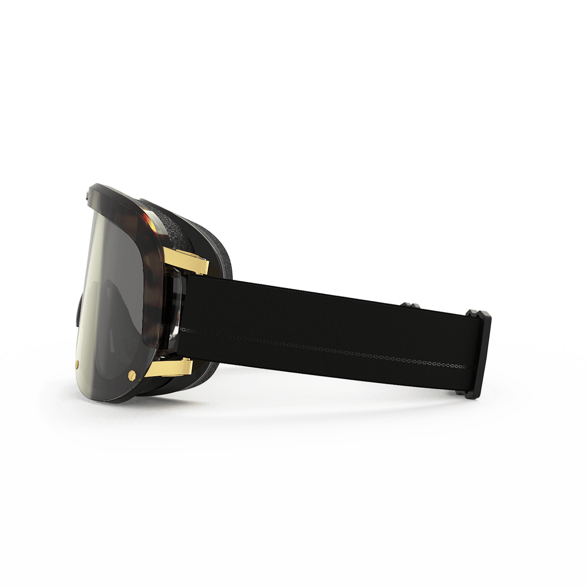 One - Black Turtle – THE HOLIDAY PROJECT