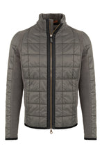 Load image into Gallery viewer, JoelMulti WP - Hay