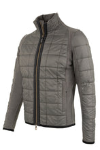 Load image into Gallery viewer, JoelMulti WP - Hay