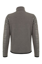 Load image into Gallery viewer, JoelMulti WP - Hay