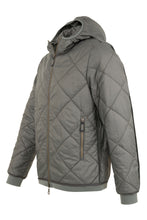 Load image into Gallery viewer, Antonius - QS - Hay