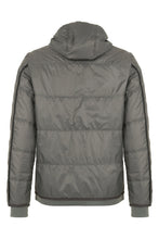 Load image into Gallery viewer, Antonius - QS - Hay