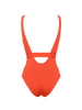 Exception Sophistique - Rooibos