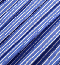 Load image into Gallery viewer, Src Anae Skirt  - Light Blue Striped
