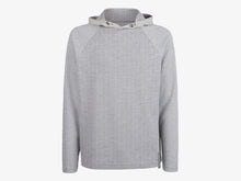 Load image into Gallery viewer, Raglan Hoodie - Pearl Grey
